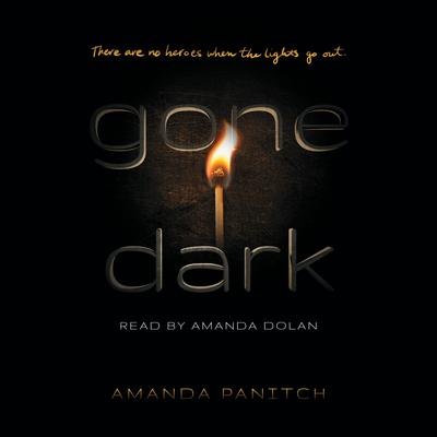 Gone Dark by Amanda Panitch audiobook