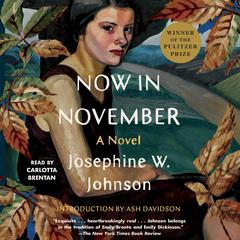 Now in November by  Josephine Johnson audiobook