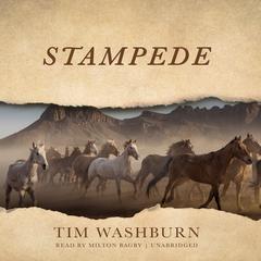 Stampede by Tim Washburn audiobook
