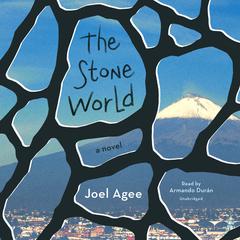The Stone World by Joel Agee audiobook