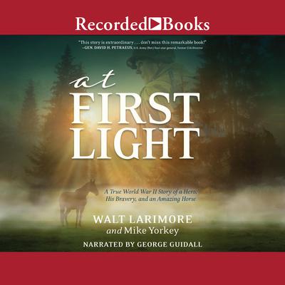 At First Light by Walt Larimore audiobook