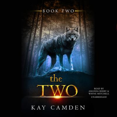 The Two by Kay Camden audiobook