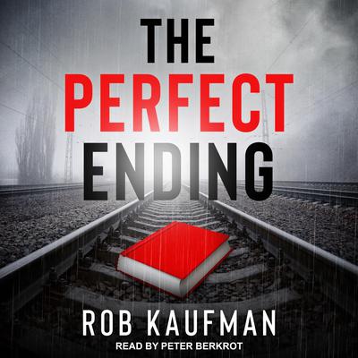 The Perfect Ending by Rob Kaufman audiobook