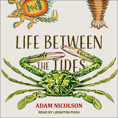 Life Between the Tides by Adam Nicolson audiobook
