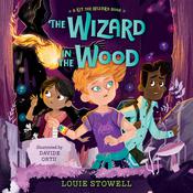 The Wizard in the Wood by  Louie Stowell audiobook