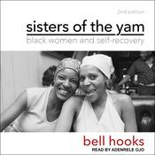 Sisters of the Yam by  bell hooks audiobook