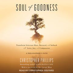 Soul of Goodness by Christopher Phillips audiobook
