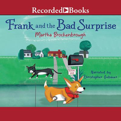 Frank and the Bad Surprise by Martha Brockenbrough audiobook