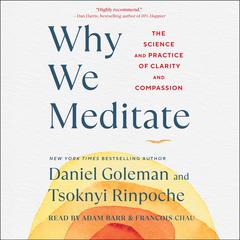 Why We Meditate by Daniel Goleman audiobook
