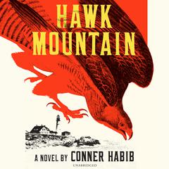 Hawk Mountain by Conner Habib audiobook