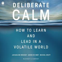 Deliberate Calm by Jacqueline Brassey audiobook