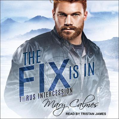 The Fix Is In by Mary Calmes audiobook
