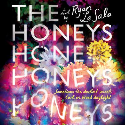 The Honeys by Ryan La Sala audiobook