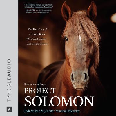 Project Solomon by Jennifer Marshall Bleakley audiobook