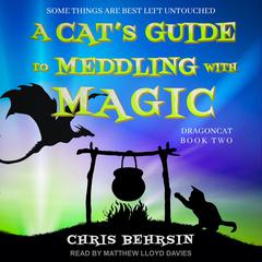 A Cat's Guide to Meddling with Magic by Chris Behrsin audiobook
