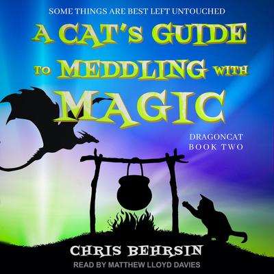 A Cat's Guide to Meddling with Magic by Chris Behrsin audiobook