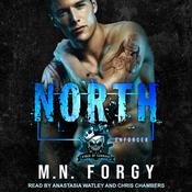 North by  M. N. Forgy audiobook
