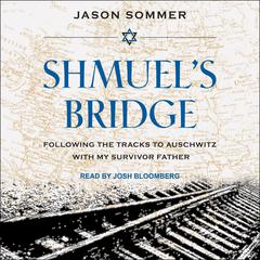 Shmuel's Bridge by Jason Sommer audiobook