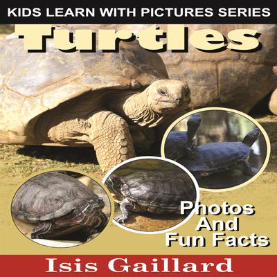 Turtles by Isis Gaillard audiobook