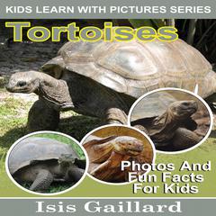 Tortoises by Isis Gaillard audiobook