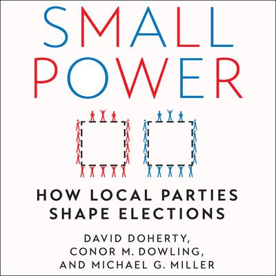 Small Power by David Doherty audiobook