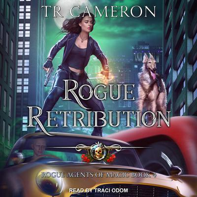 Rogue Retribution by Michael Anderle audiobook