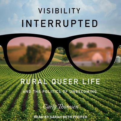 Visibility Interrupted by Carly Thomsen audiobook