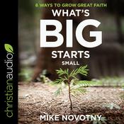 What's Big Starts Small by  Mike Novotny audiobook