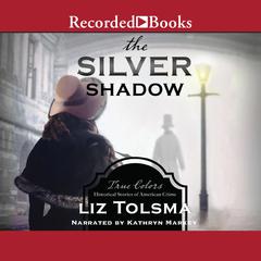 The Silver Shadow by Liz Tolsma audiobook