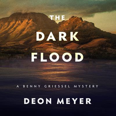 The Dark Flood by Deon Meyer audiobook