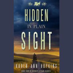Hidden in Plain Sight by Karen Ann Hopkins audiobook