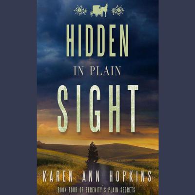 Hidden in Plain Sight by Karen Ann Hopkins audiobook