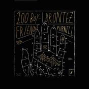 100 Boyfriends by  Brontez Purnell audiobook