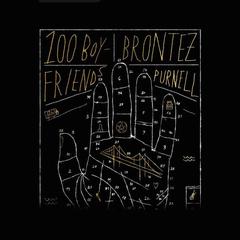 100 Boyfriends by Brontez Purnell audiobook