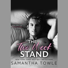 The Two Week Stand by Samantha Towle audiobook