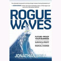 Rogue Waves by Jonathan Brill audiobook