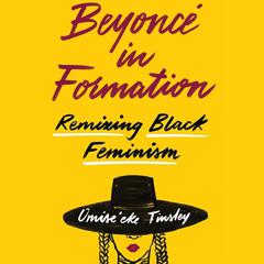 Beyoncé in Formation by Omise'eke Tinsley audiobook