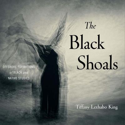 The Black Shoals by Tiffany Lethabo King audiobook