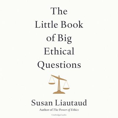 The Little Book of Big Ethical Questions by Susan Liautaud audiobook