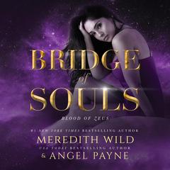 Bridge of Souls by Meredith Wild audiobook