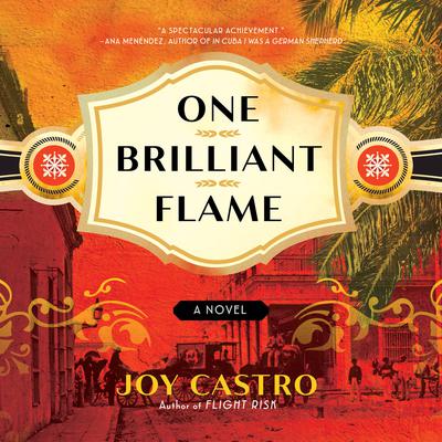 One Brilliant Flame by Joy Castro audiobook