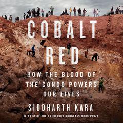 Cobalt Red by Siddharth Kara audiobook