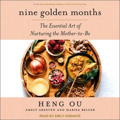 Nine Golden Months by Amely Greeven audiobook