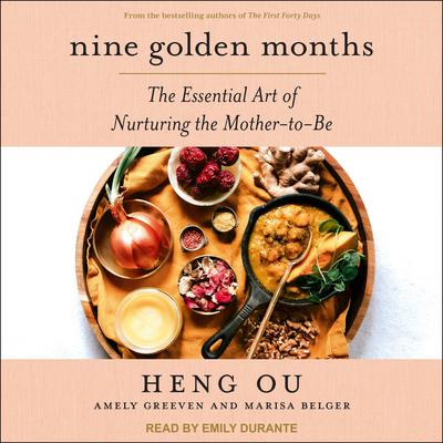 Nine Golden Months by Amely Greeven audiobook