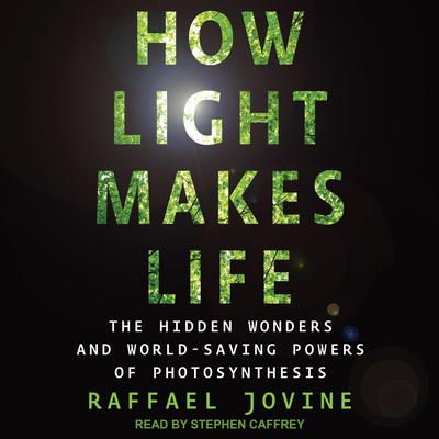 How Light Makes Life by Raffael Jovine audiobook
