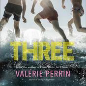 Three by  Valérie Perrin audiobook