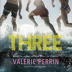 Three by Valérie Perrin audiobook