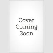 Invisible Boy by  Harrison Mooney audiobook
