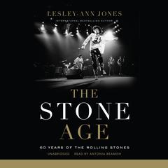 The Stone Age by Lesley-Ann Jones audiobook
