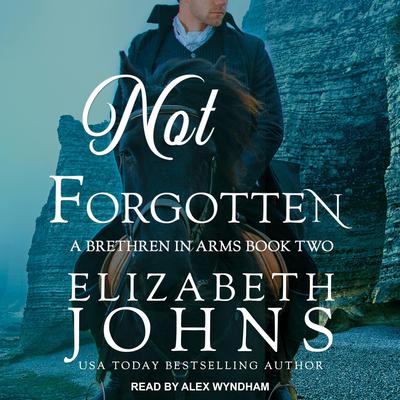 Not Forgotten by Elizabeth Johns audiobook